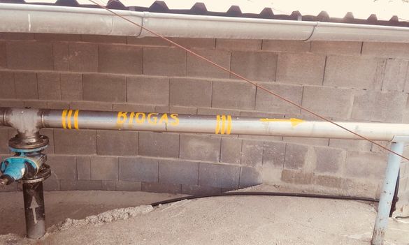 Biogas