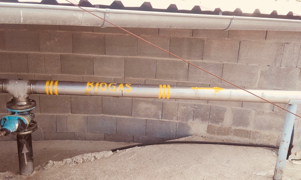 Biogas